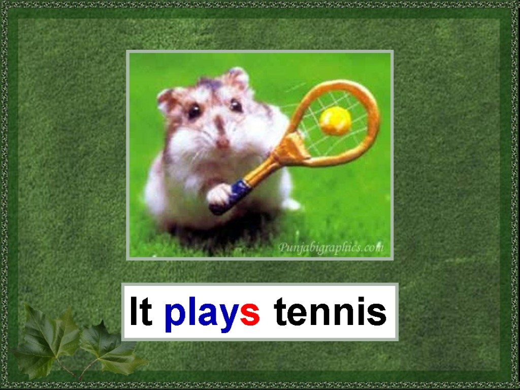 It plays tennis
